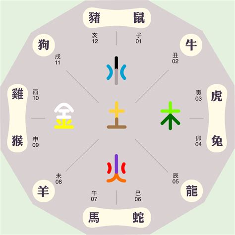 儒五行|儒字的五行属性